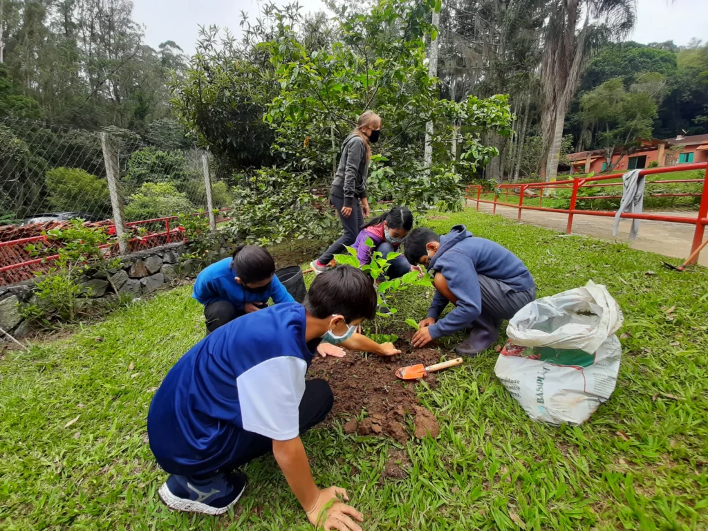 projeto gaia construção da horta