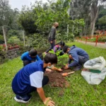 projeto gaia construção da horta