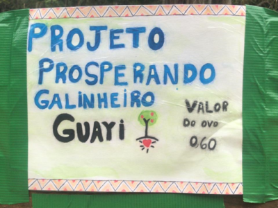 projeto galinheiro