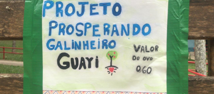 projeto galinheiro